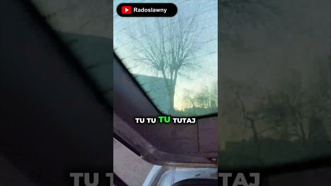 Walka z kablem CHINCH na granicy wytrzymałości! 🤯 