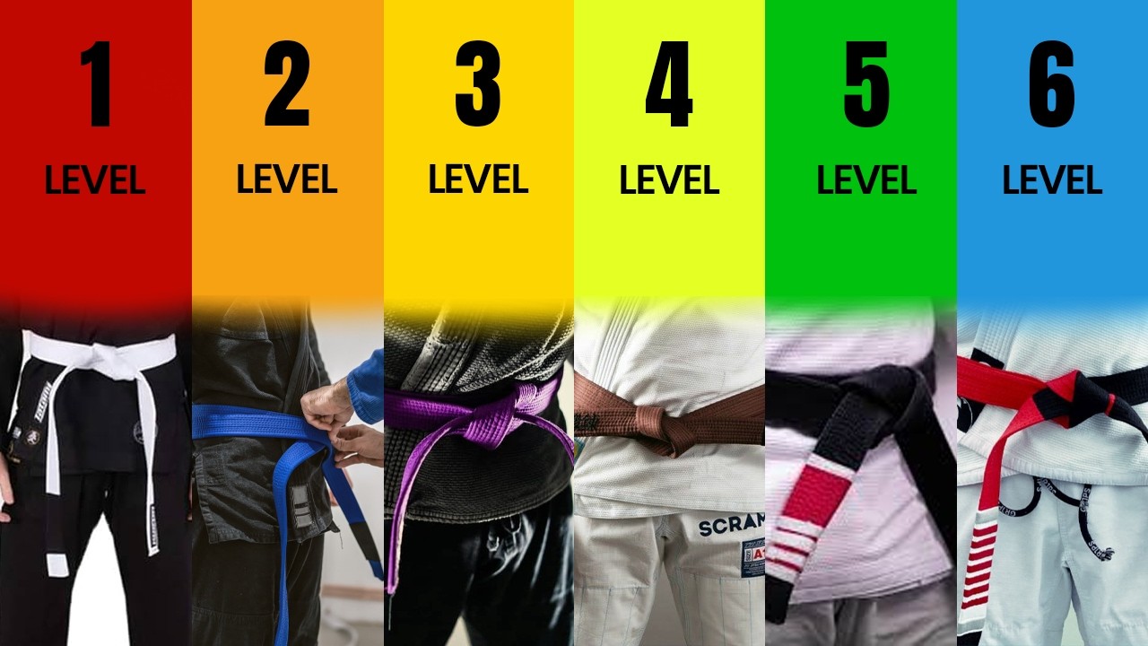 The 6 Levels of Jiu Jitsu Explained In 11 Minutes!