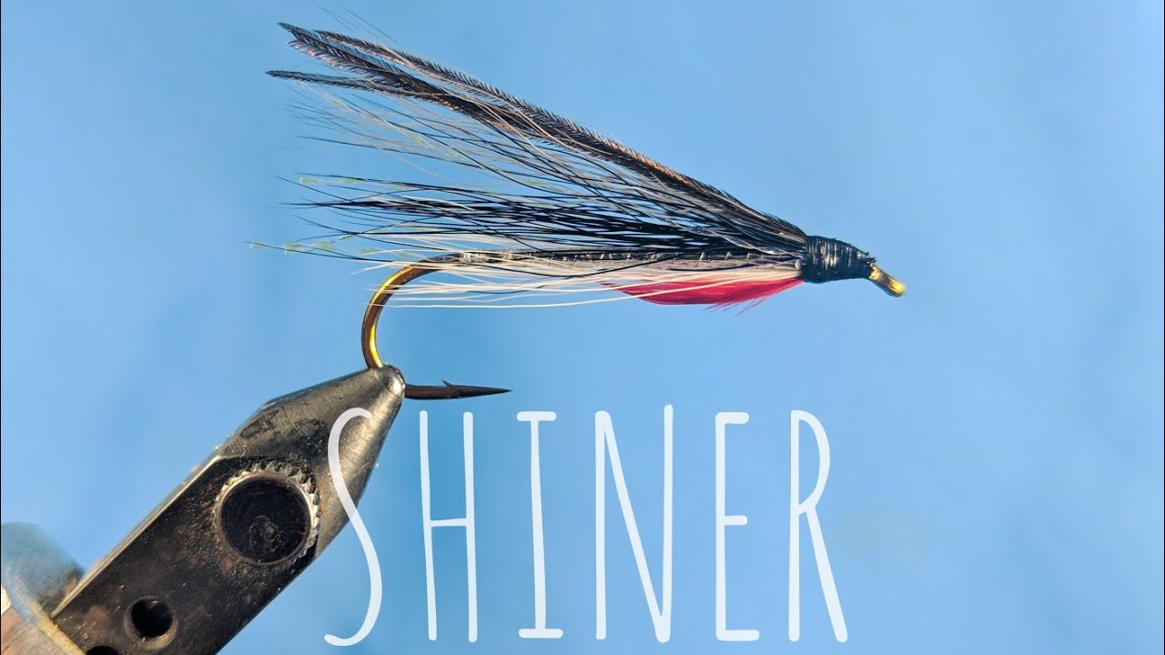 Shiner - Montage d'un streamer