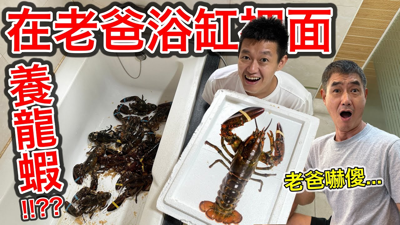 在老爸浴缸偷偷養龍蝦!!??『老爸看到整個嚇傻！』ft. @EmmaSleepTaiwan