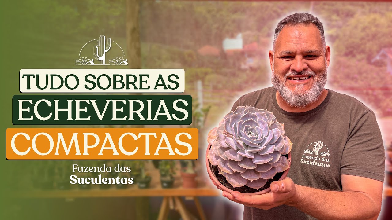TUDO SOBRE ECHEVERIAS COMPACTAS