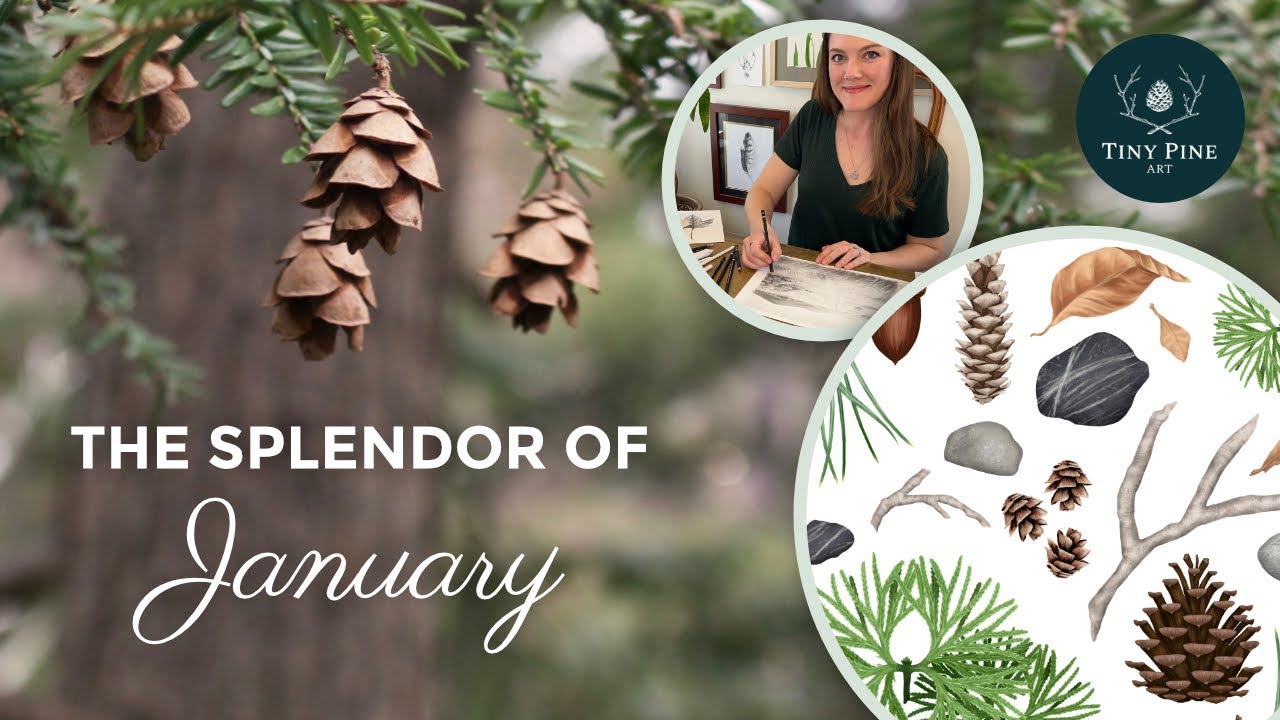 The Hidden Beauty of January | A Botanical Artist’s Winter Inspiration