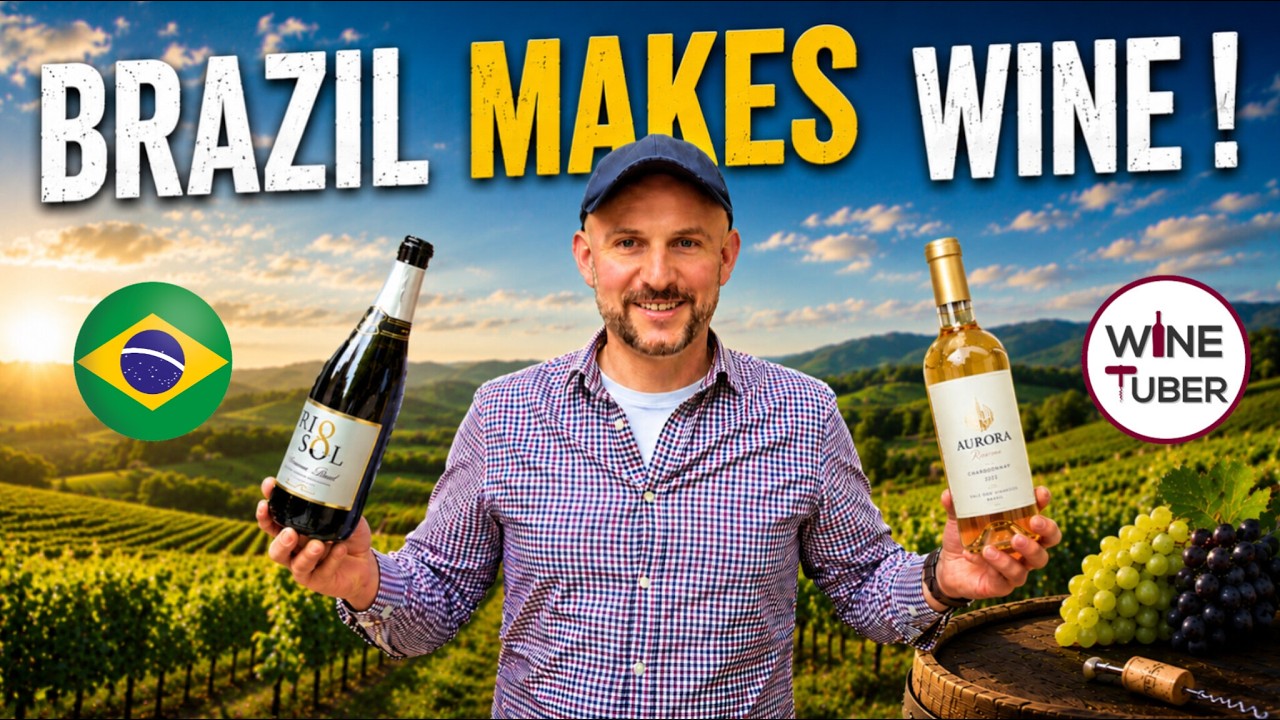 Wines of Brazil. Does Brazil produce quality wine?