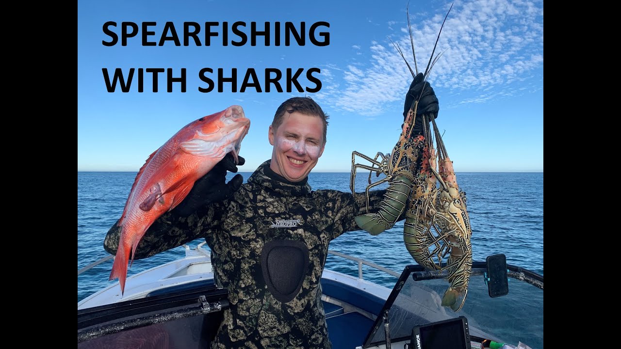 spearfishing trip North West Island (Queensland Australia)