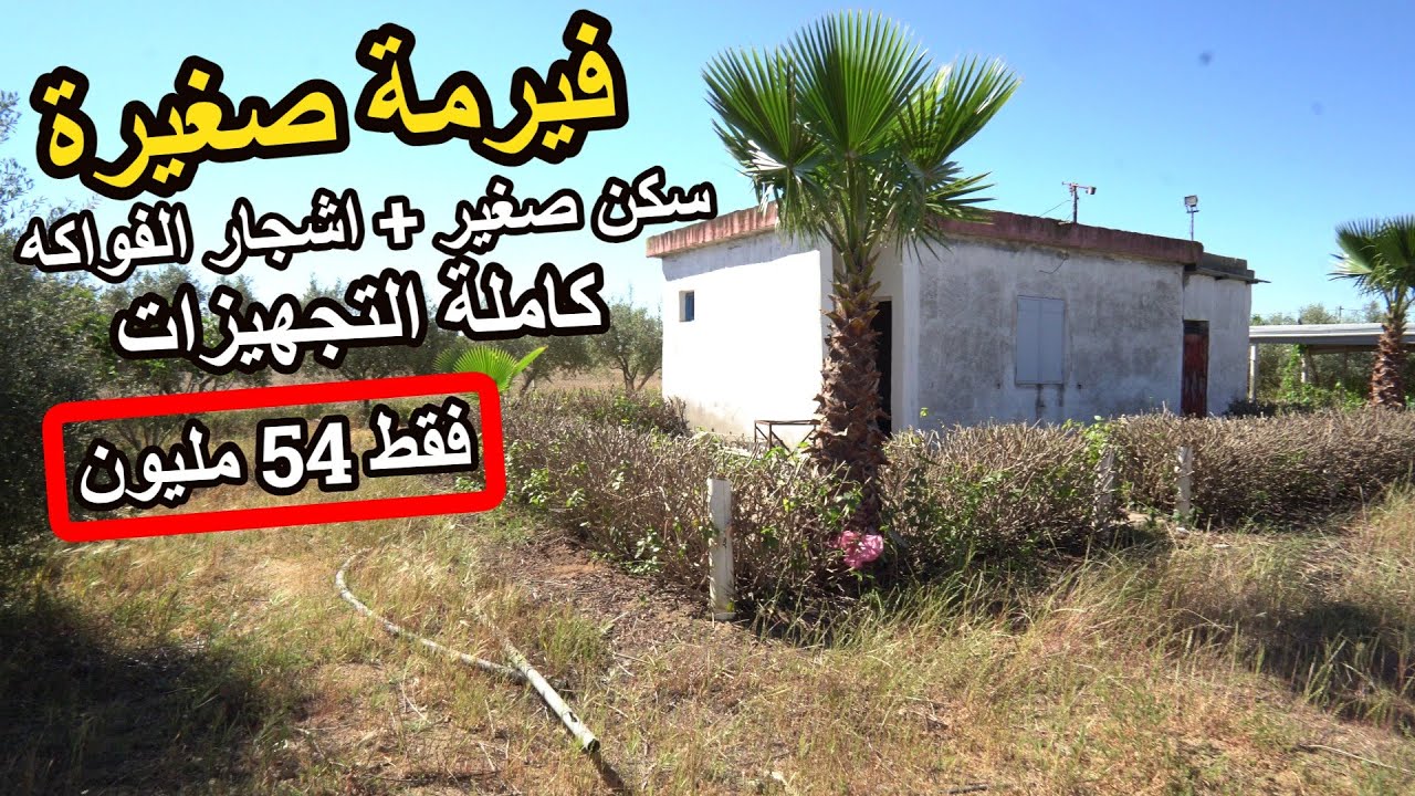 ✨  فيرمة صغيرة بسكن صغير واشجار كبيرة وكثيرة للعيش وسط الطبيعة بعيدا عن الضجيج ✨ بين تيفلت والرباط