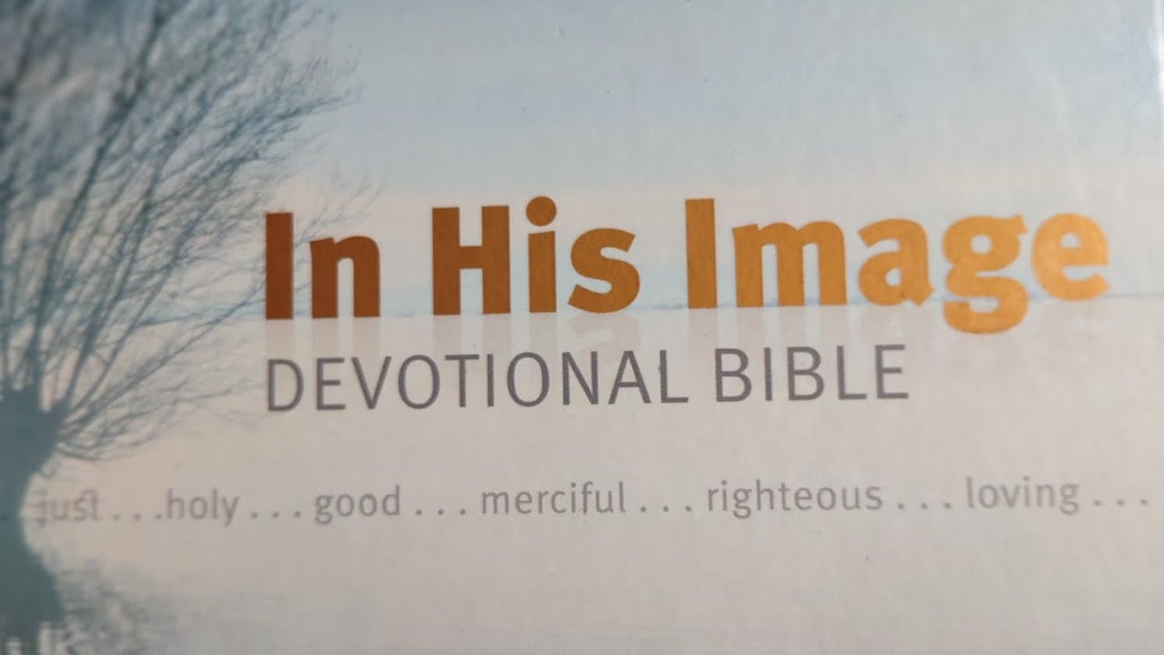 In His image Devotional Bible Review / eBay / it is a keeper 