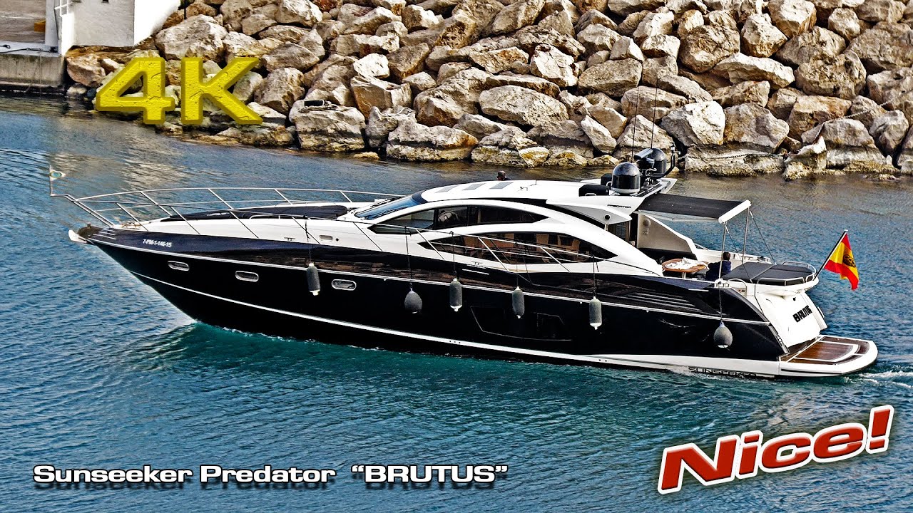 Sunseeker Predator 