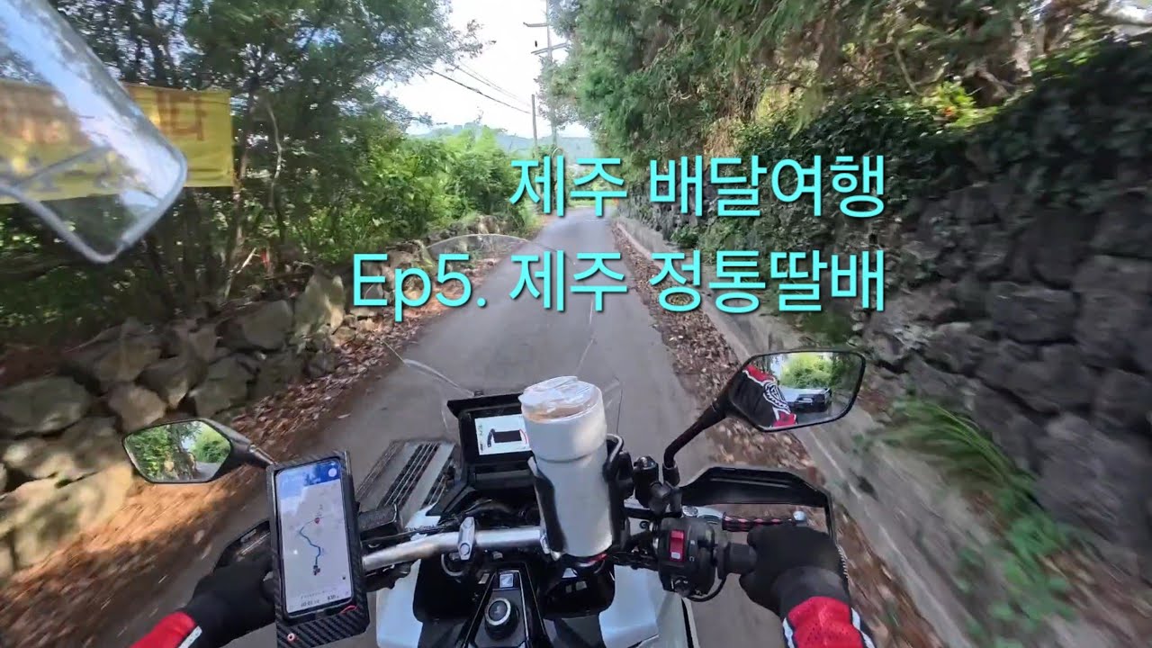 제주배달여행  Ep5. 제주 정통딸배