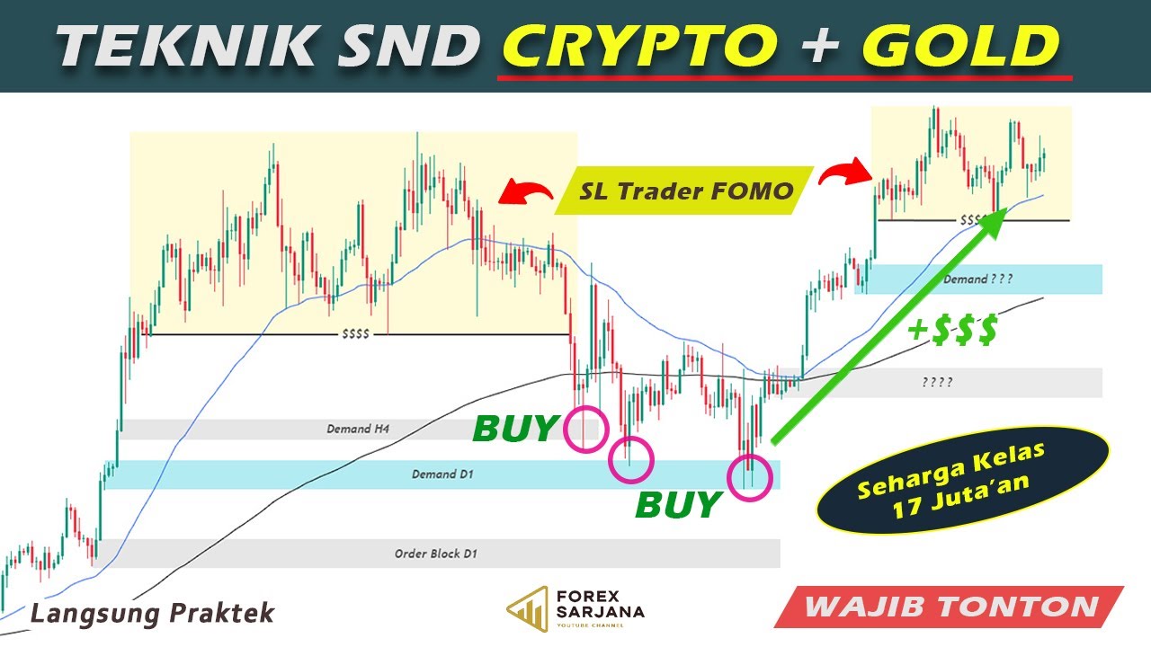 ALASAN PEMULA SELALU BANGKRUT di Crypto !!! Pelajari Strategi ini Sebelum Trading Crypto & Gold