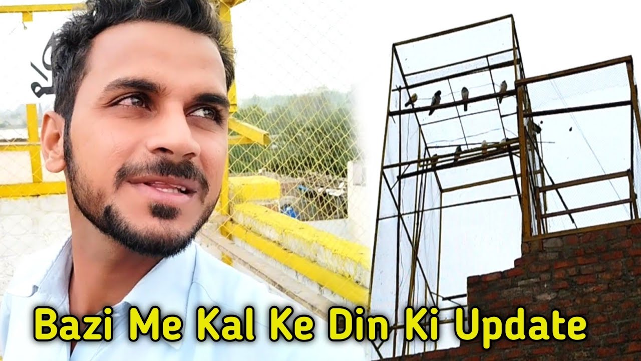 Bazi Me Kal Ke Din Ki Update | Babar Pigeons Club