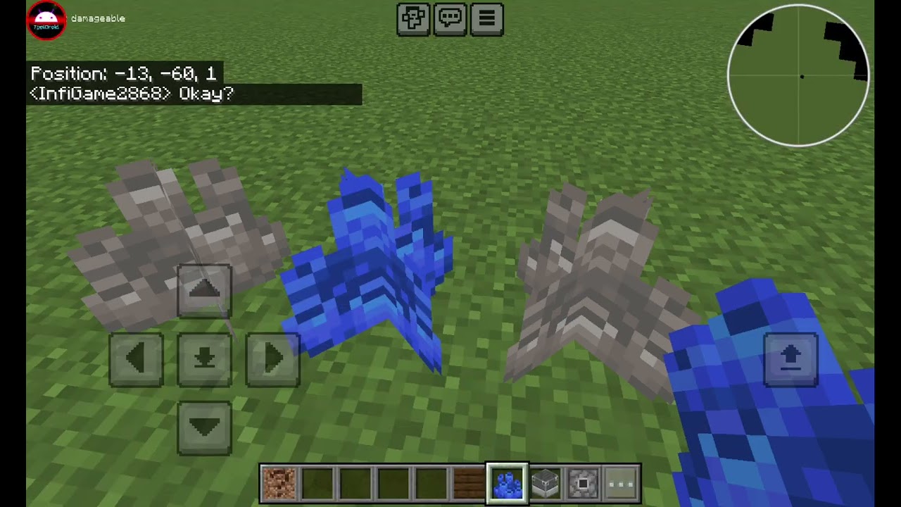 Secret Items In Hack Menu