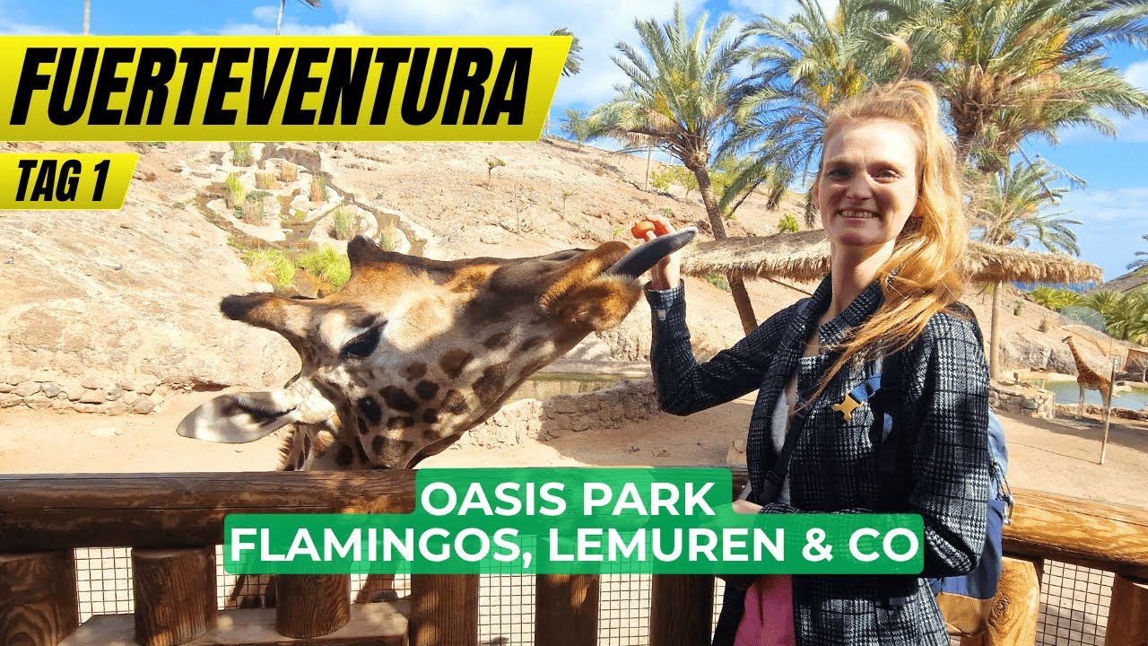 Der beste Ausflug auf Fuerteventura? Unser Tag im Oasis Wildlife Park! 🦒🌴