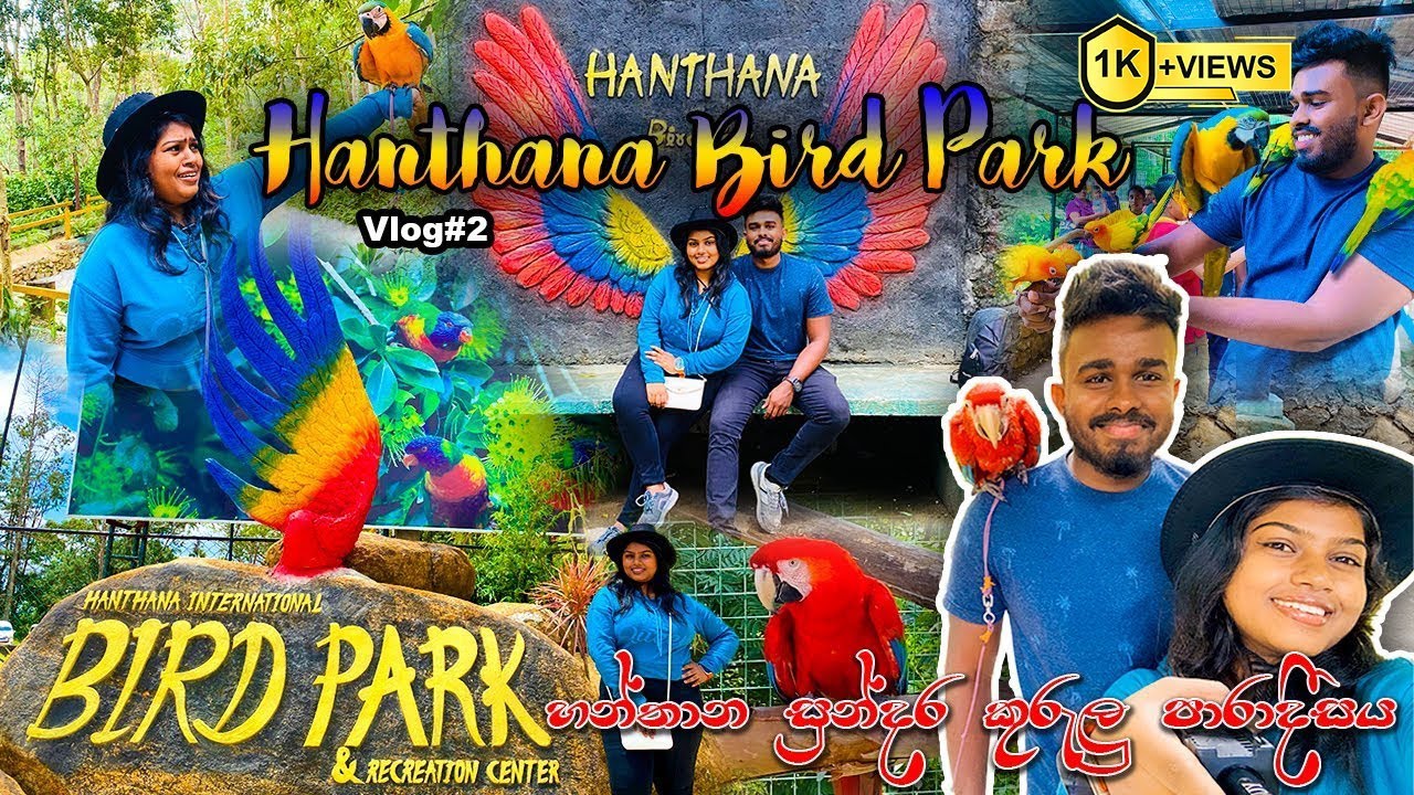 Hanthana Bird Park | Kandy | Sri Lanka  | VLOG#2