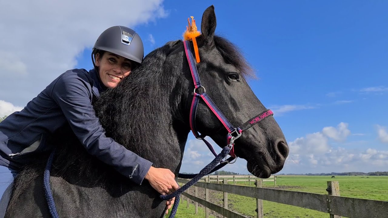 Surprise Paardty for Yvonne and Queen👑Uniek the Friesian Horse.