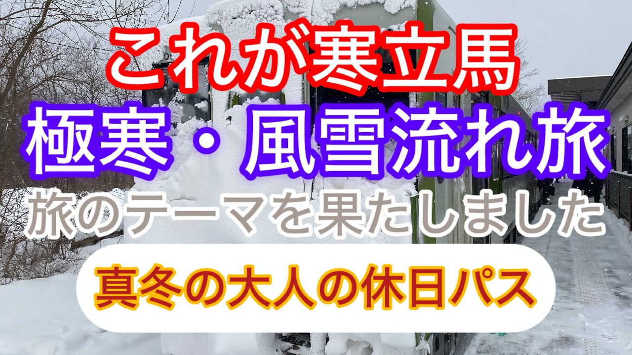 真冬の大人の休日パスの旅②下北半島風雪旅！寒立馬の姿に心動きました！下北半島は奥行き深すぎます、、。今夜もよろしくお願いします　#大人の休日倶楽部  #コスパ旅  #プレミア公開 