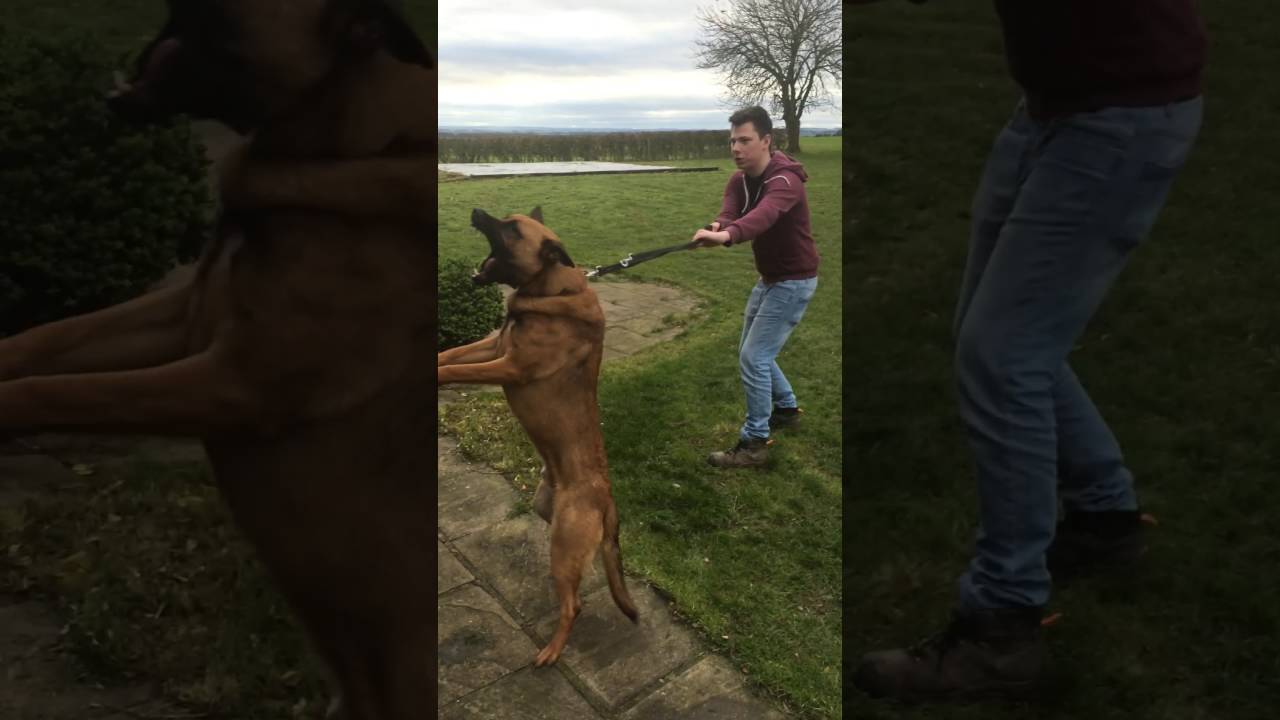Personal Protection Training