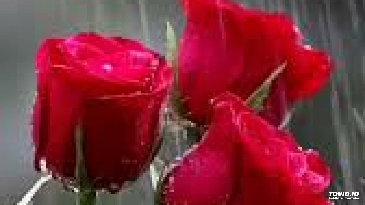 138A From Law to Grace, 1956 Barbizon Plaza Lecture Series, Joel S Goldsmith