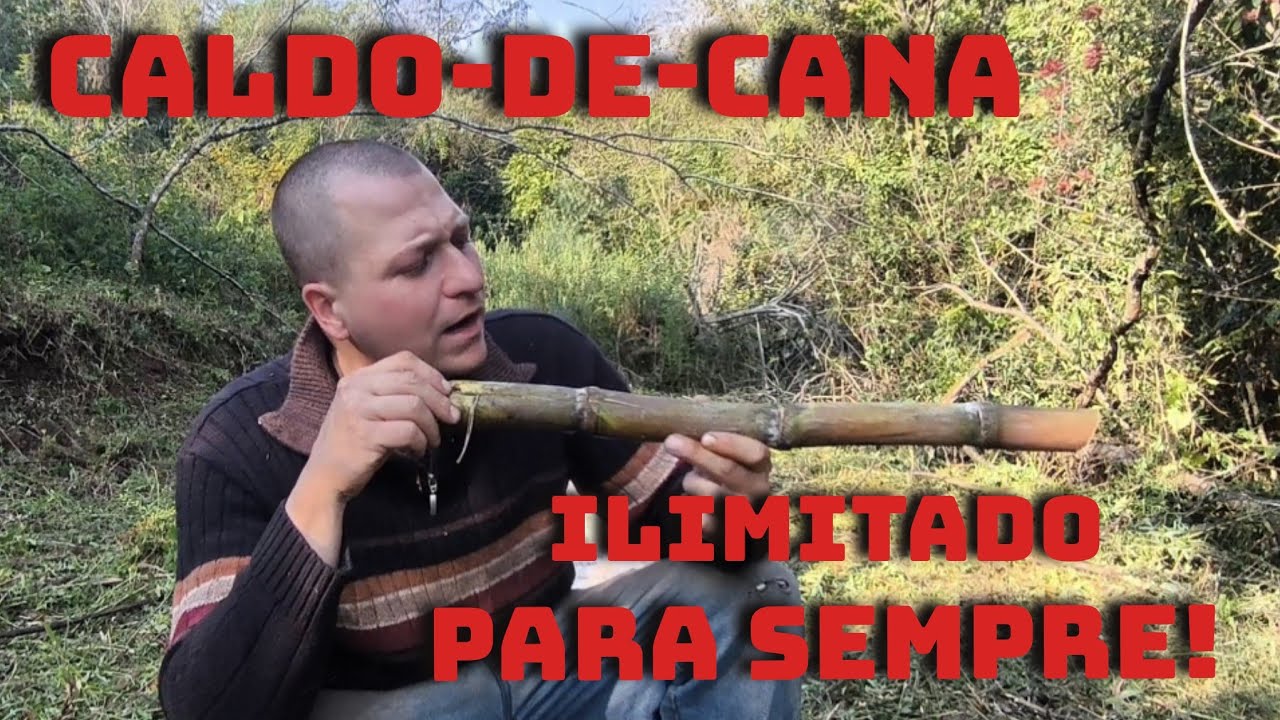 PLANTANDO CANA DE AÇÚCAR PARA TER CALDO DE CANA INFINITO EP-772
