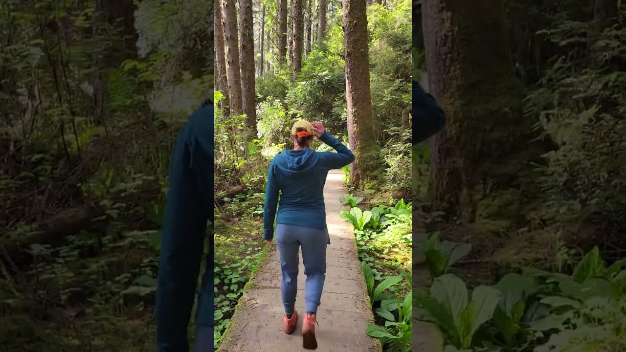 Fern Canyon rim section, Redwood National Park, California