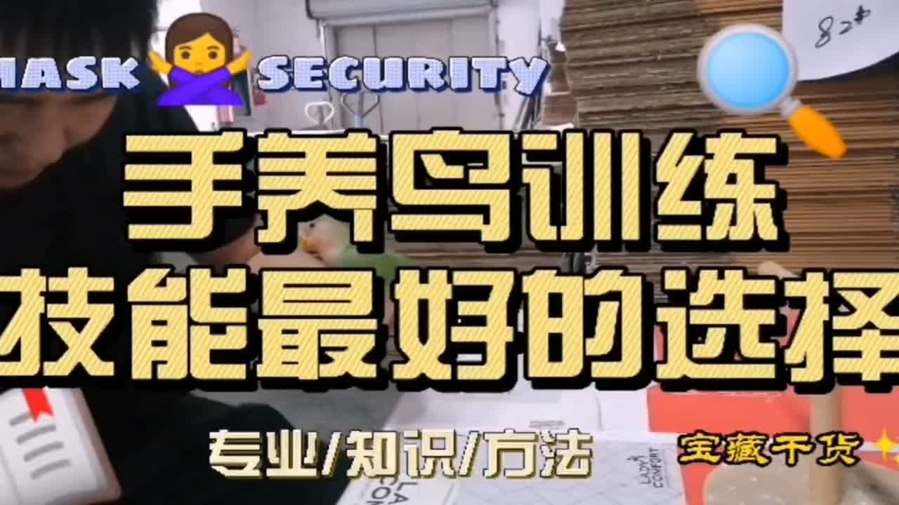 手养鸟，训练技能最好的选择。
