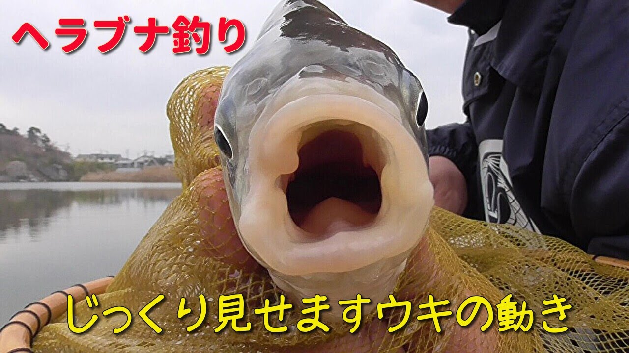【ヘラブナ釣り】活性が高まる前のウキの動き。