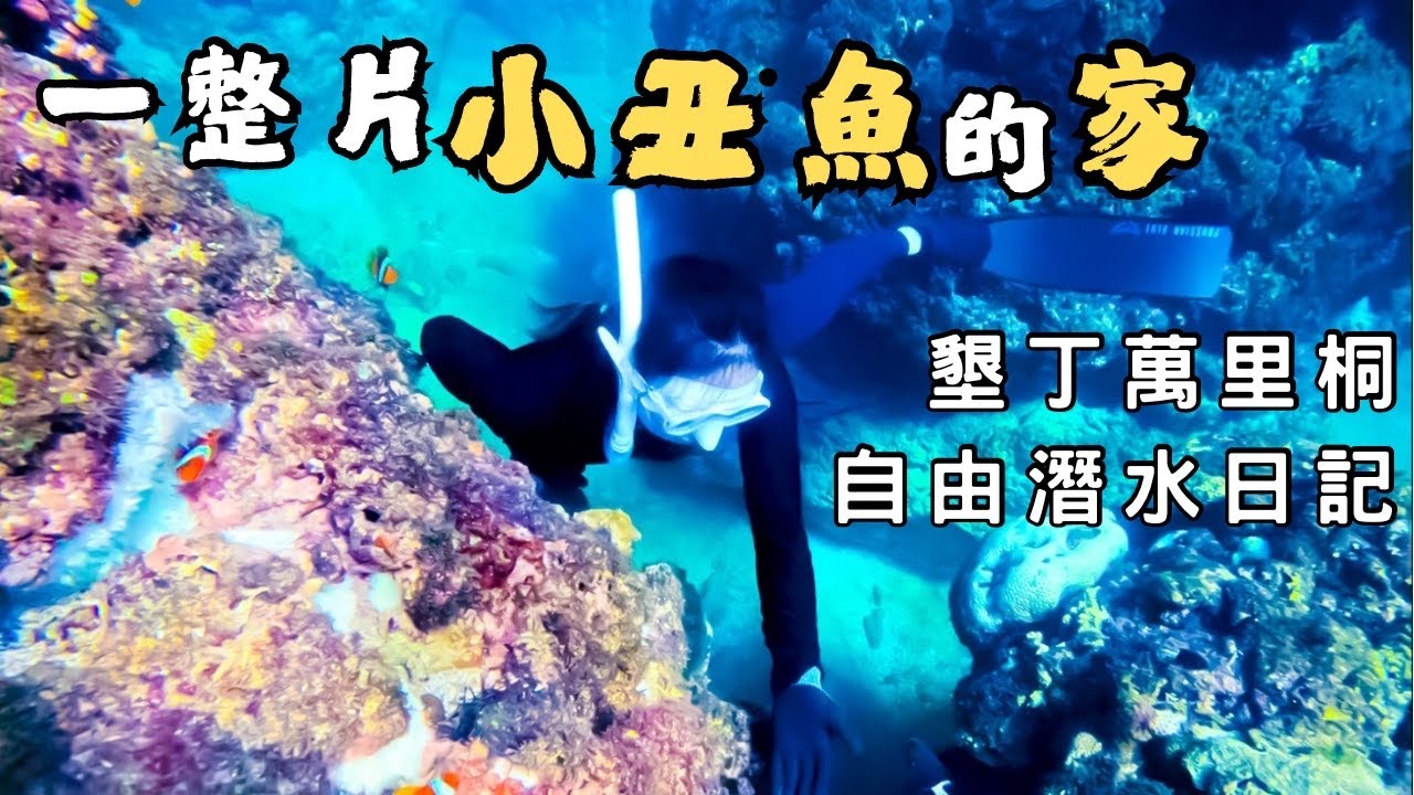 我在墾丁萬里桐，潛進一整片小丑魚的家｜自由潛水