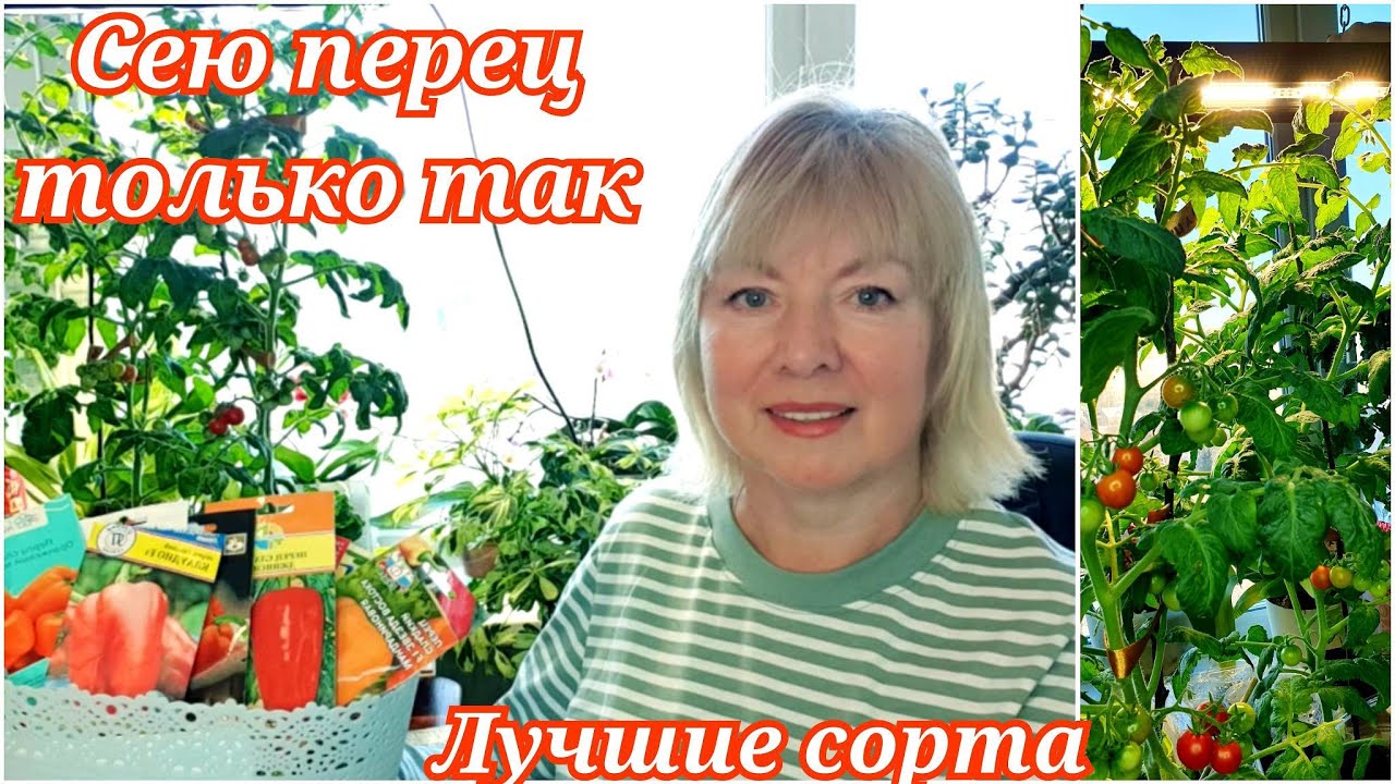 Посев перца на рассаду.Лучше способа не нашла.ПОДСВЕТКА для КРЕПКОЙ РАССАДЫ