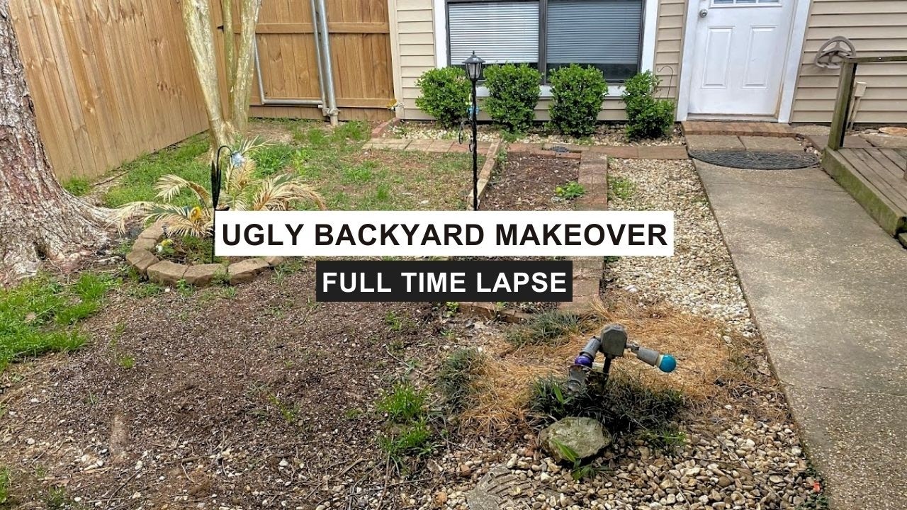 3 Years in Just 10 Minutes |  Timelapse Backyard Renovation | Full Garden Transformation