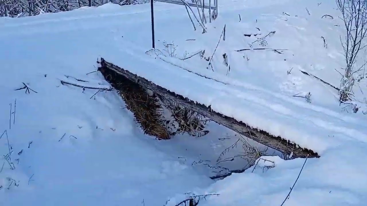 Day 3 Daily Alaska Vlog 2026 Y'all get to go upside down... 😆 More Cell Phone Gimbal practice...
