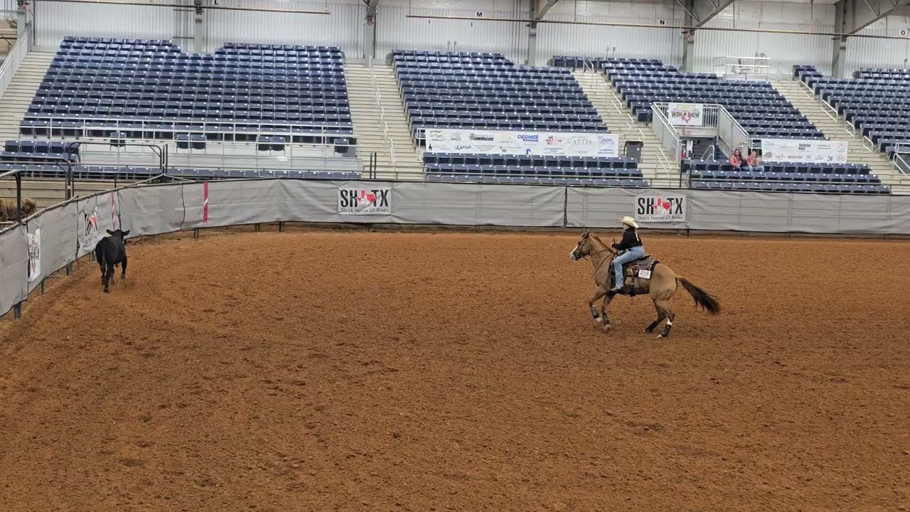 10/23/2025 Taylor and Dun Slidin 22 Cow Work Boxing SHTX World Show Go 1