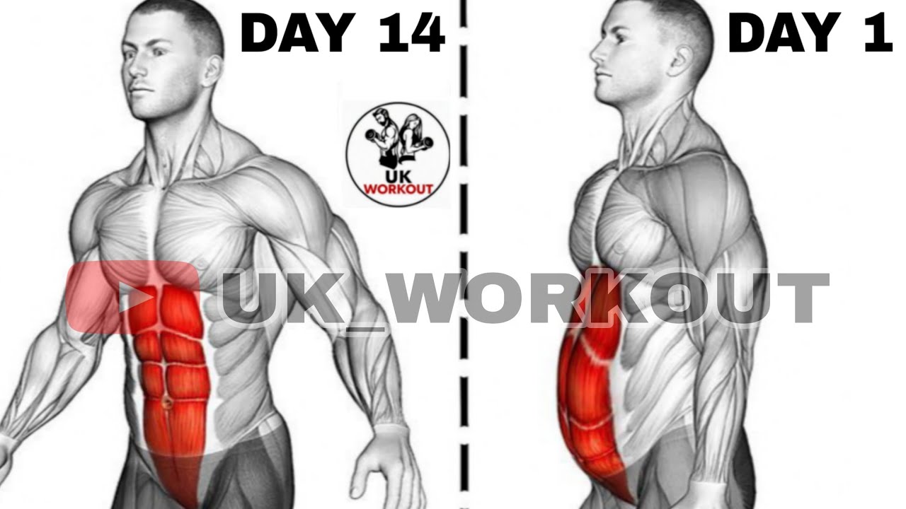 14 Days Best ABS Workout At Home | No Equipment 