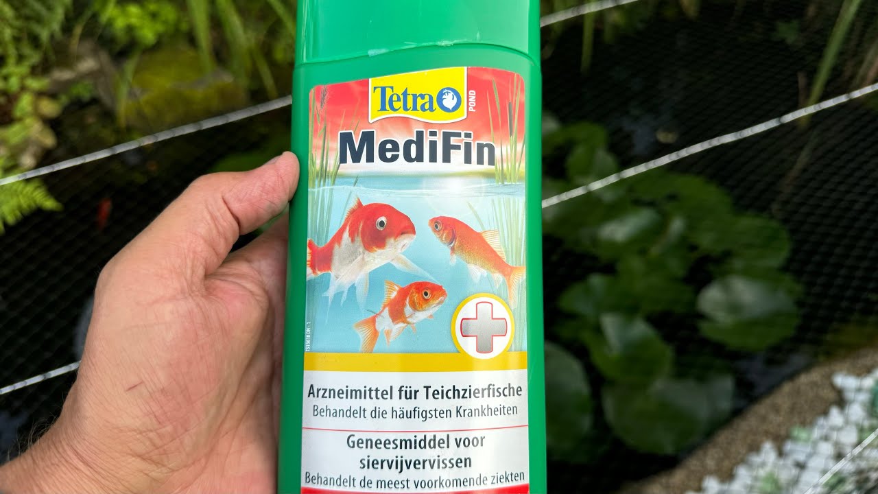 MediFin im Gartenteich