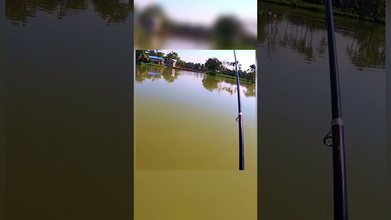 #assam #fishing