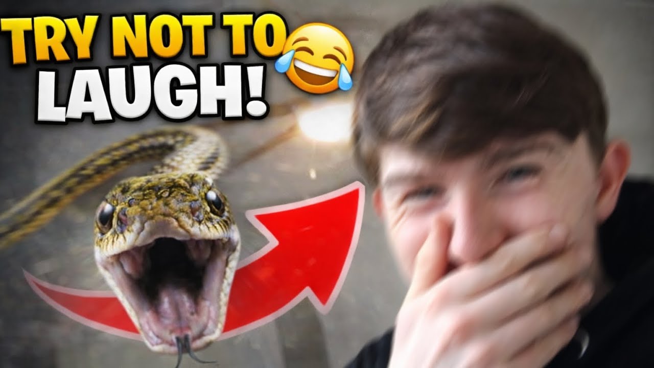TRY NOT TO LAUGH #1