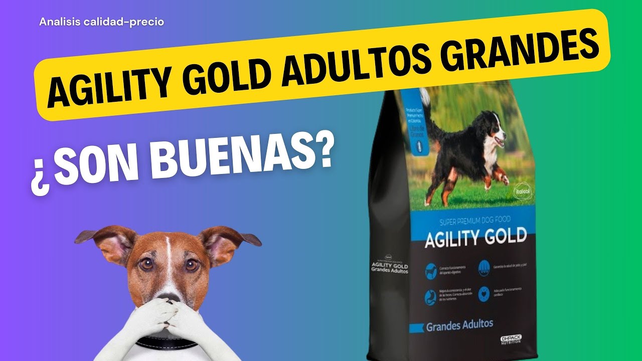 Análisis de alimento para perro: Agility Gold Adultos Grandes