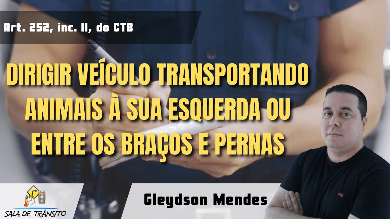 MBFT | Dirigir transportando animais à esquerda ou entre braços e pernas (Art. 252, inc. II, do CTB)