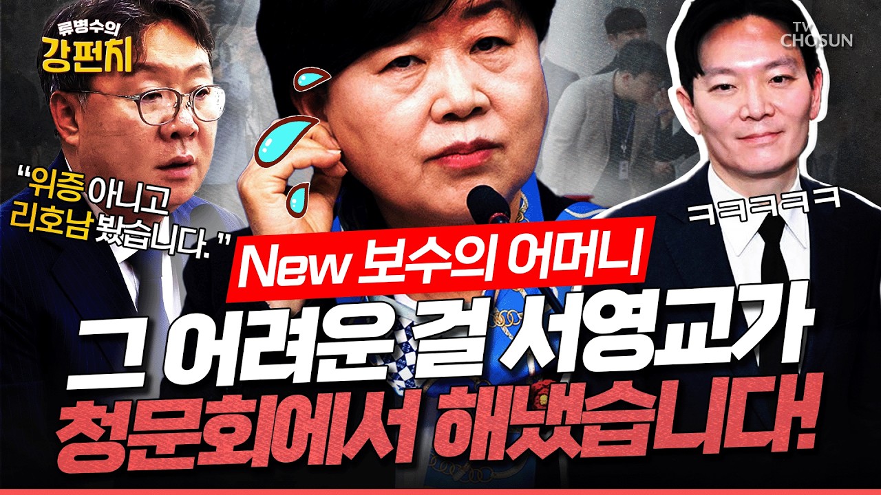 [🥊류병수의 강펀치] 서영교 겁박에도 '방북 대가' 증언 안 흔들려... 류병수 