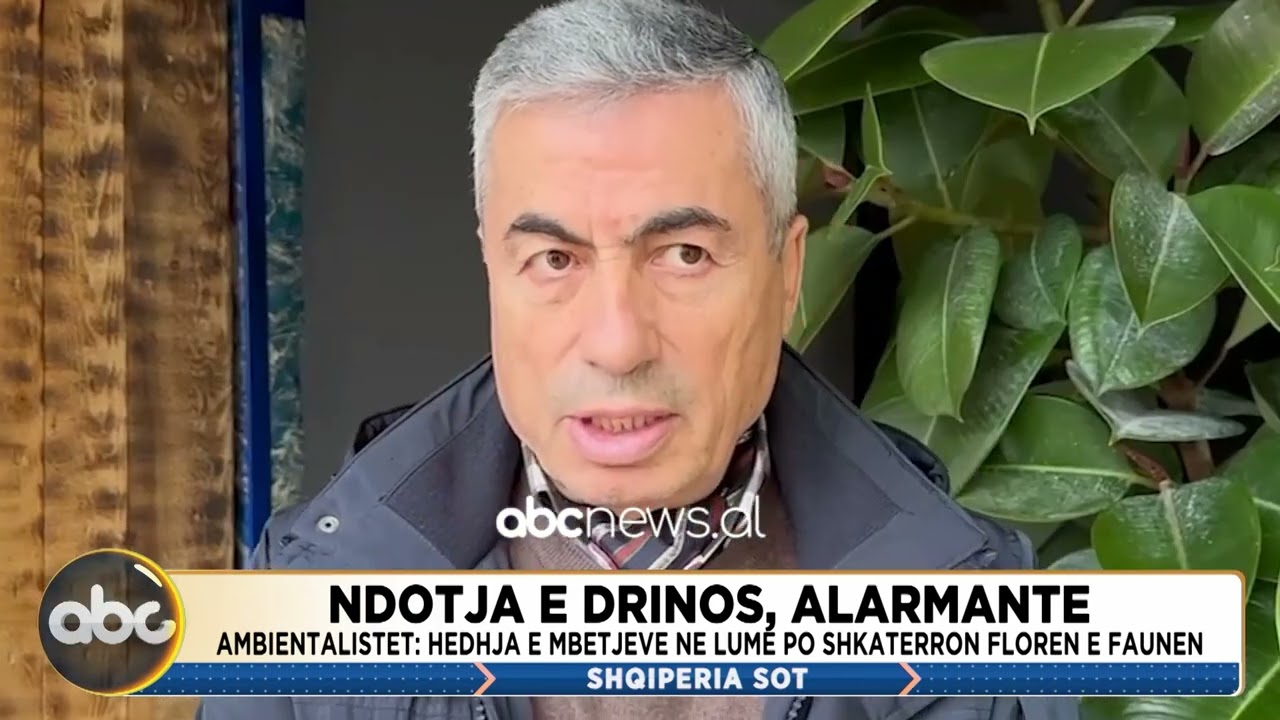 Ndotja e Drinos, alarmante/ Ambientalistët: Hedhja e mbetjeve në lumë po shkatërron florën e faunën