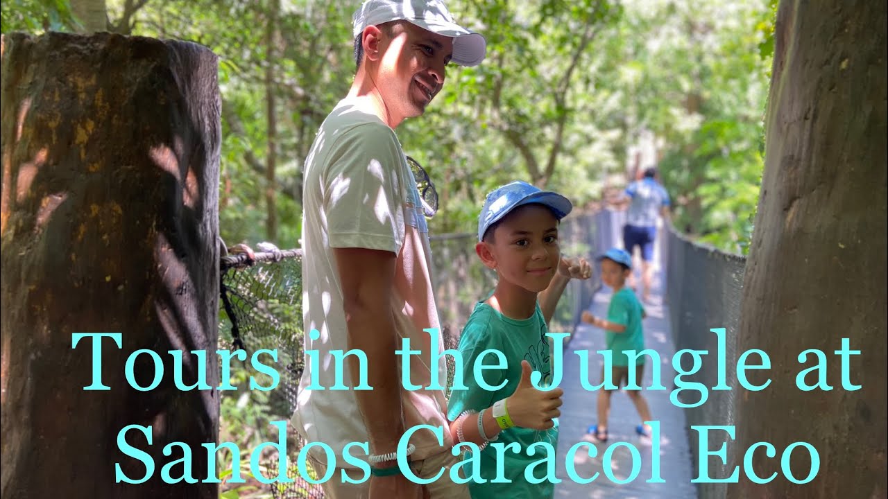 Interesting Tours in SANDOS CARACOL ECO Resort - Riviera Maya, Mexico 🇲🇽 ECO TOUR, SAFARI, FEEDING