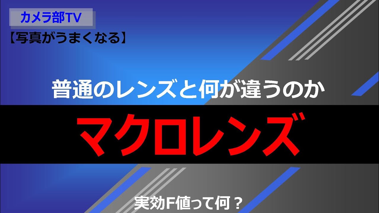 【写真がうまくなる】普通のレンズと何が違うのか「マクロレンズ」～実効F値って何？～