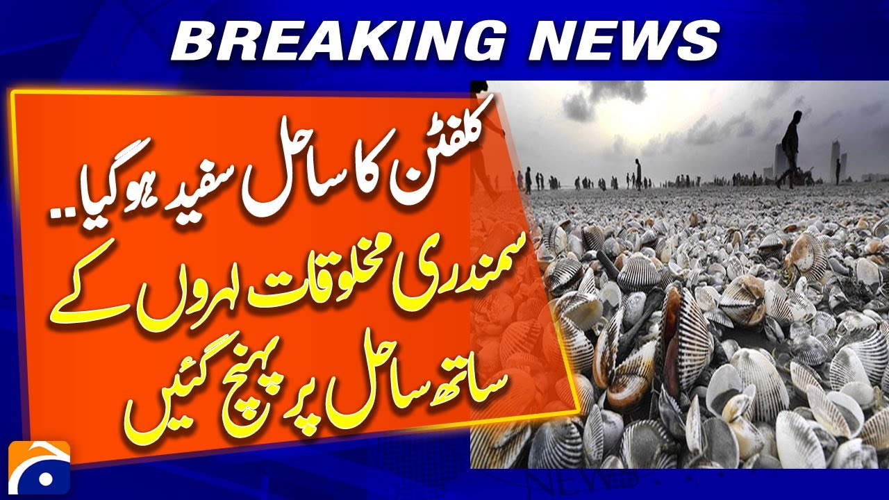 Sea Creatures Flood Clifton Beach – Mysterious Beach Anomaly in Karachi | Geo Pakistan