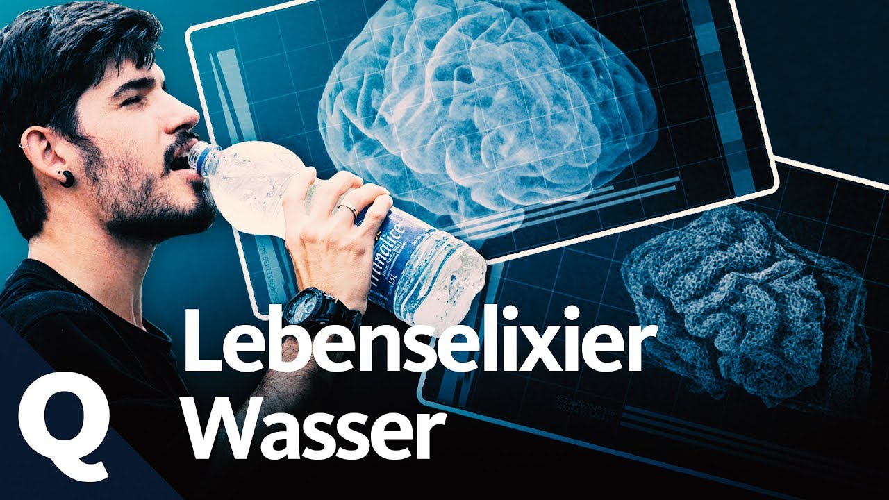 Wasser: Lebenswichtig für den Menschen | Quarks