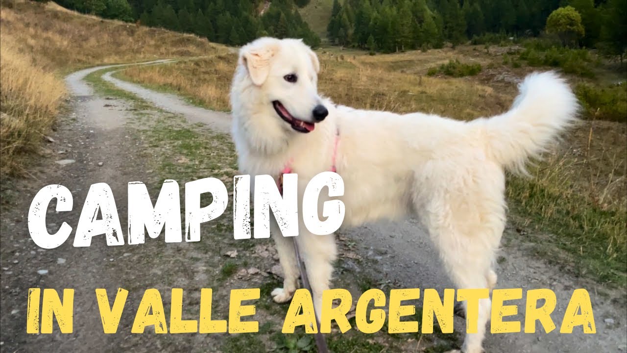 Valle Argentera Camping 4x4 🇮🇹 
