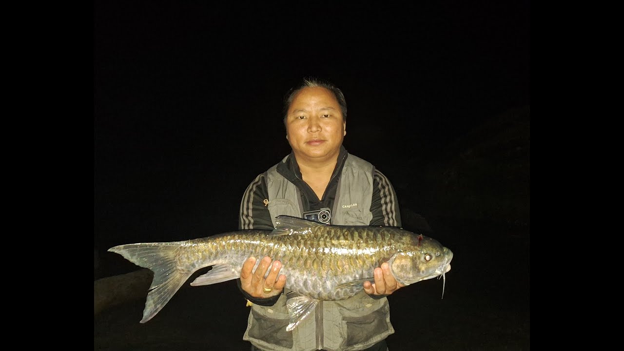 Expedition to Sulu-Kumey river confluence. Tali, Kra Daadi district, Arunachal Pradesh, India.