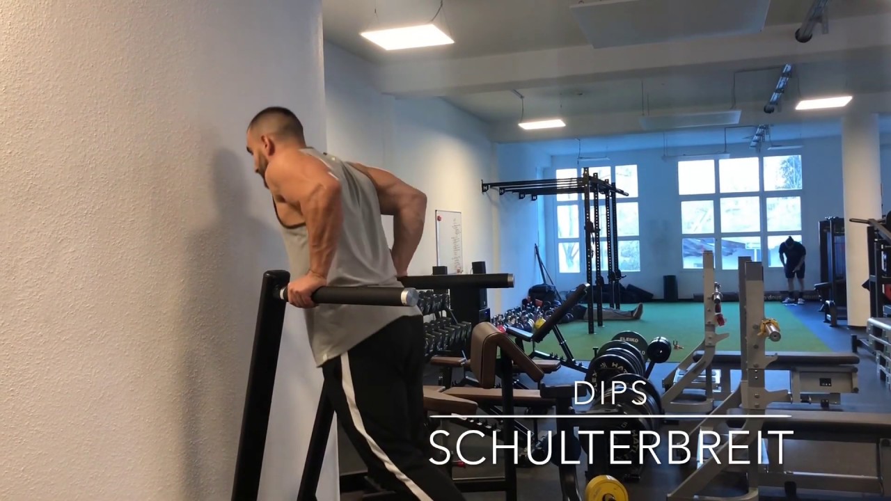 Armtraining | Trizepstraining: Dips, schulterbreit