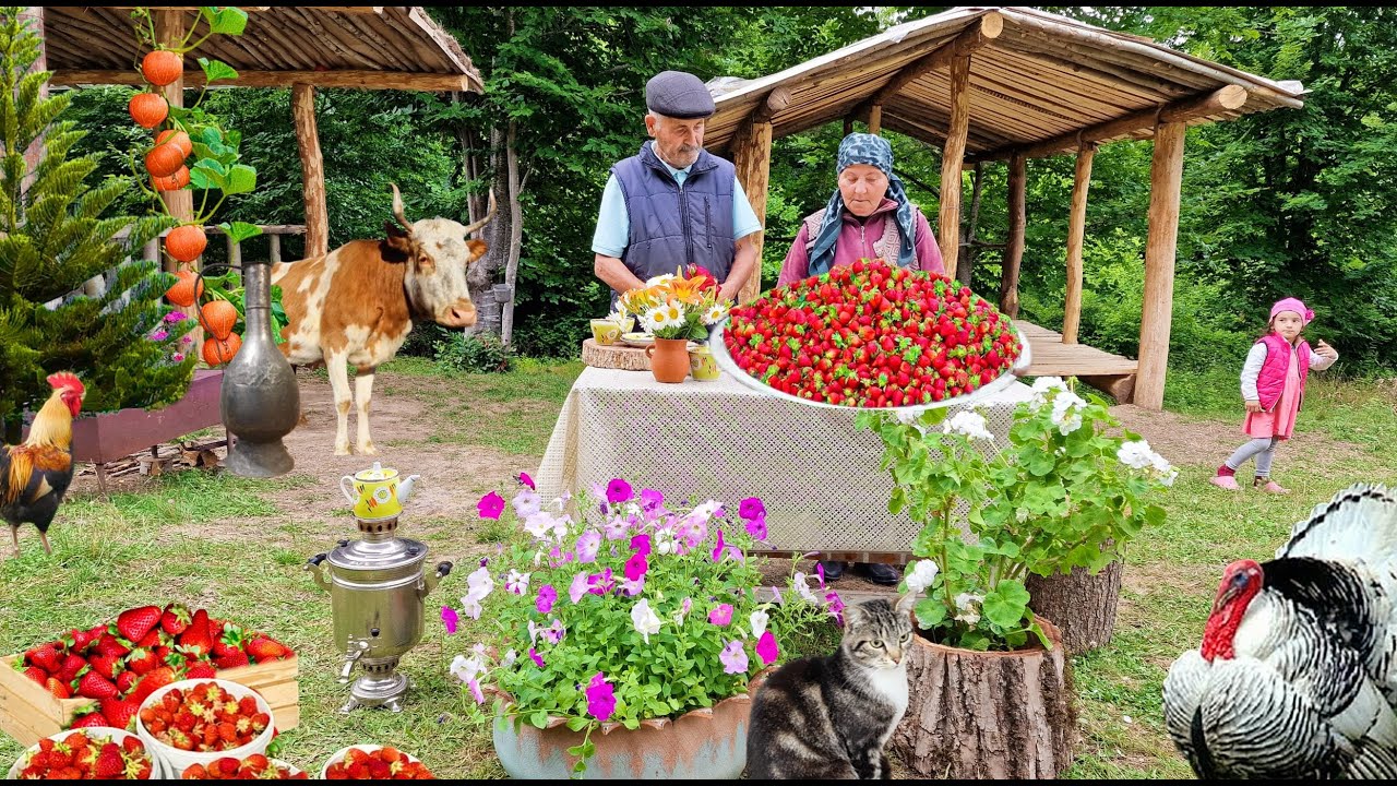 1000 Клубника. Лучший Рецепт Клубники.  Фаршированные Баклажаны с Овощами.