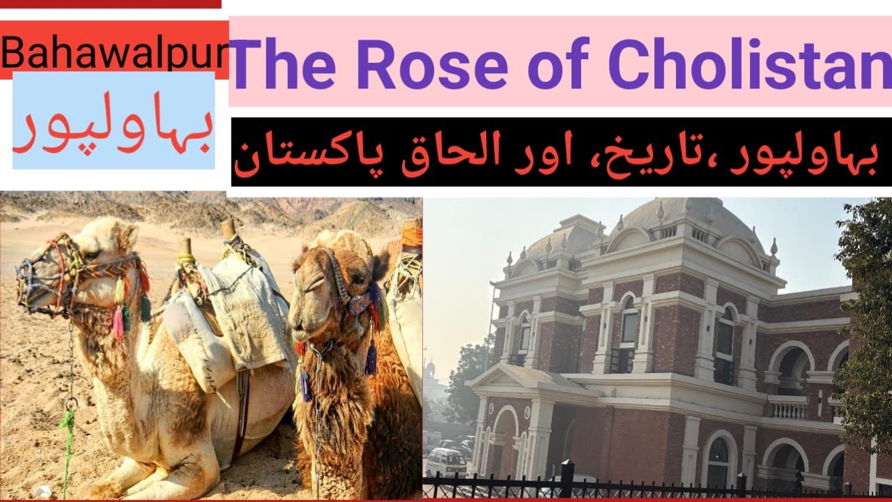 Bahawalpur, The rose of Cholistan.               History, and Merger with Pakistan 