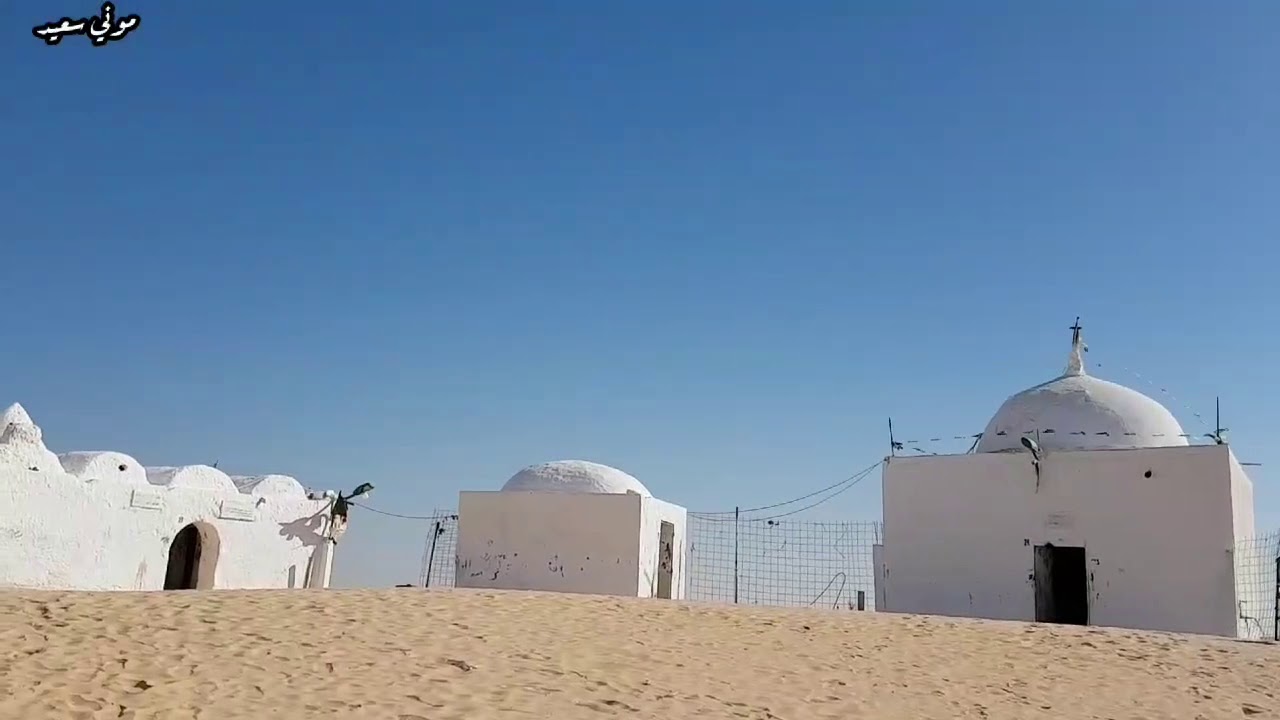 ولي الصالح سيدي شيخ العلامة محمد السائح رحمة الله عليه ورضى الله عنه ببلدة عمر