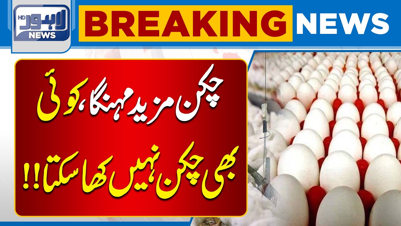 Chicken New Price Update in Pakistan | Inflation Hits Poultry Market | Latest Chicken Rate Today
