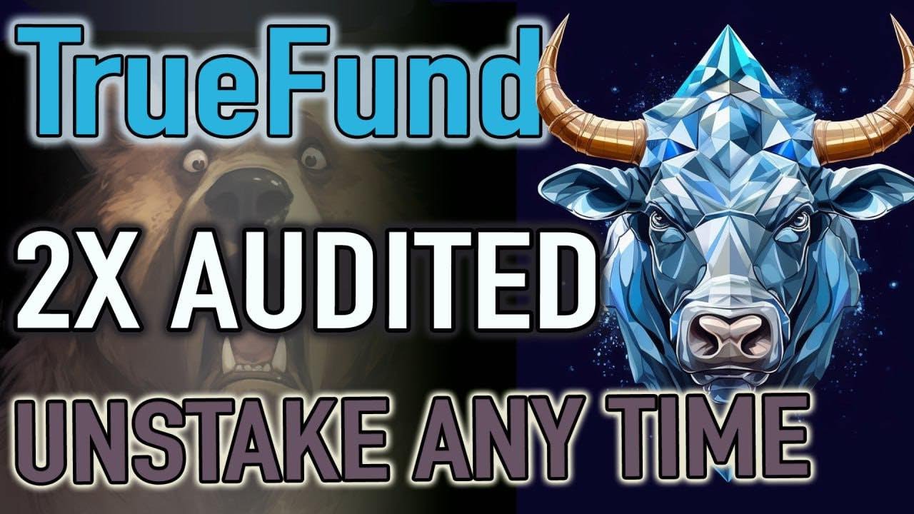 TRUE FUND -  DID I JUST DISCOVER THE NEXT 1.5% DAILY GEM ???